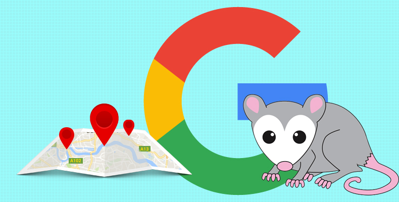 Google's Surgical Strikes on Multisite Owners with Same Address (Possum)