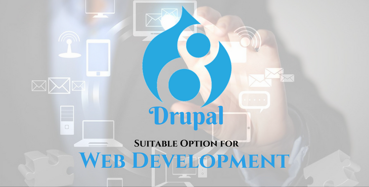 Reasons Why Drupal8 is A Suitable Option for Web Development