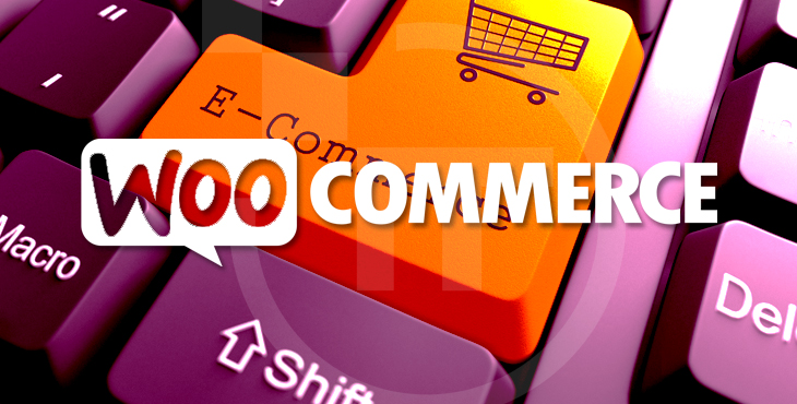 #10 Factors to Choose Woocommerce for Your eCommerce Startup